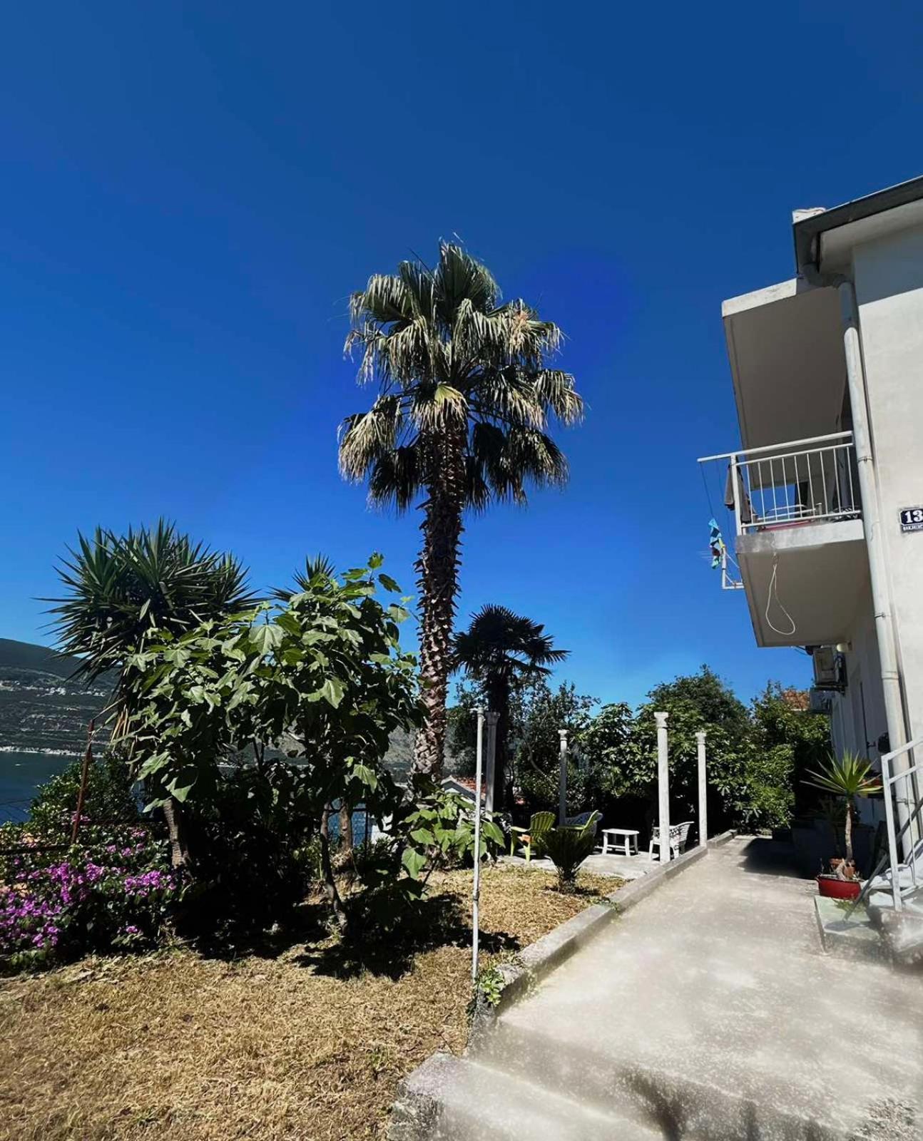 Apartments Maya Herceg Novi Luaran gambar