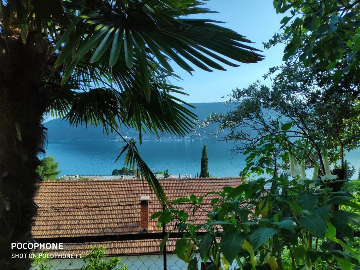 Apartments Maya Herceg Novi Luaran gambar